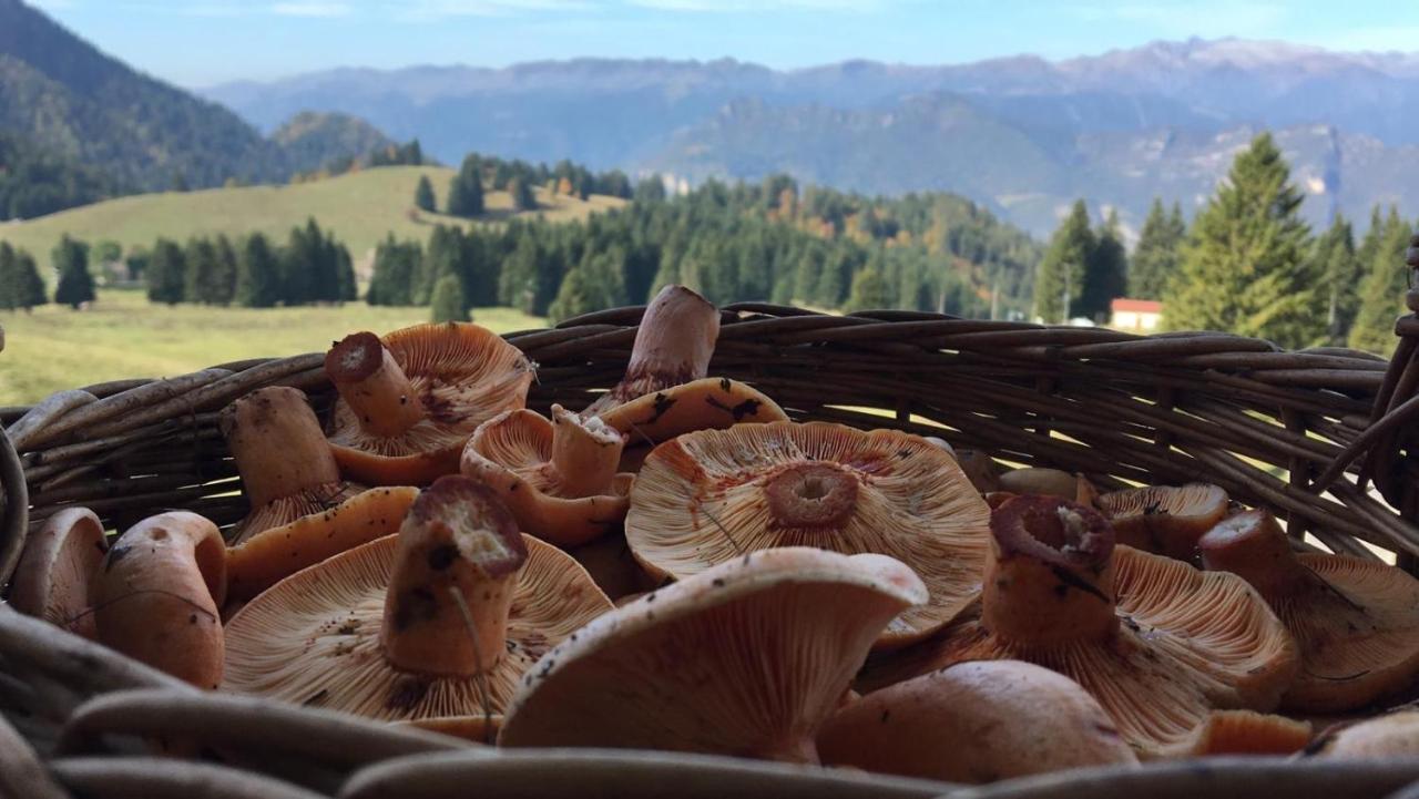 Apartmán Silene Tremalzo Detox Exteriér fotografie