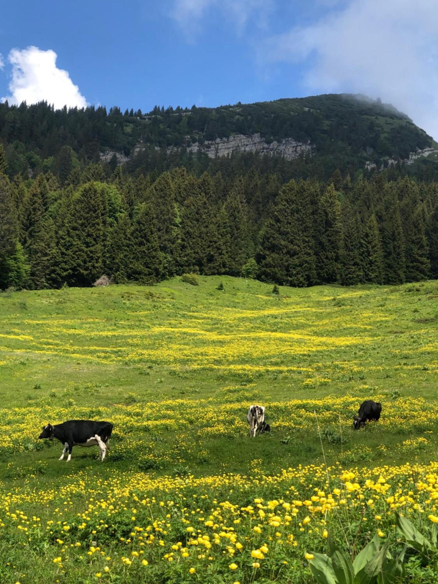 Apartmán Silene Tremalzo Detox Exteriér fotografie